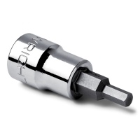 Standard Length Hex Bit Socket & Bit for 1/2" Drive (3/8")