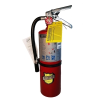 Fire Extinguisher with Wall Hook 10LB