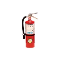 Dry Chemical Fire Extinguisher with Vehicle Bracket 2.5LB